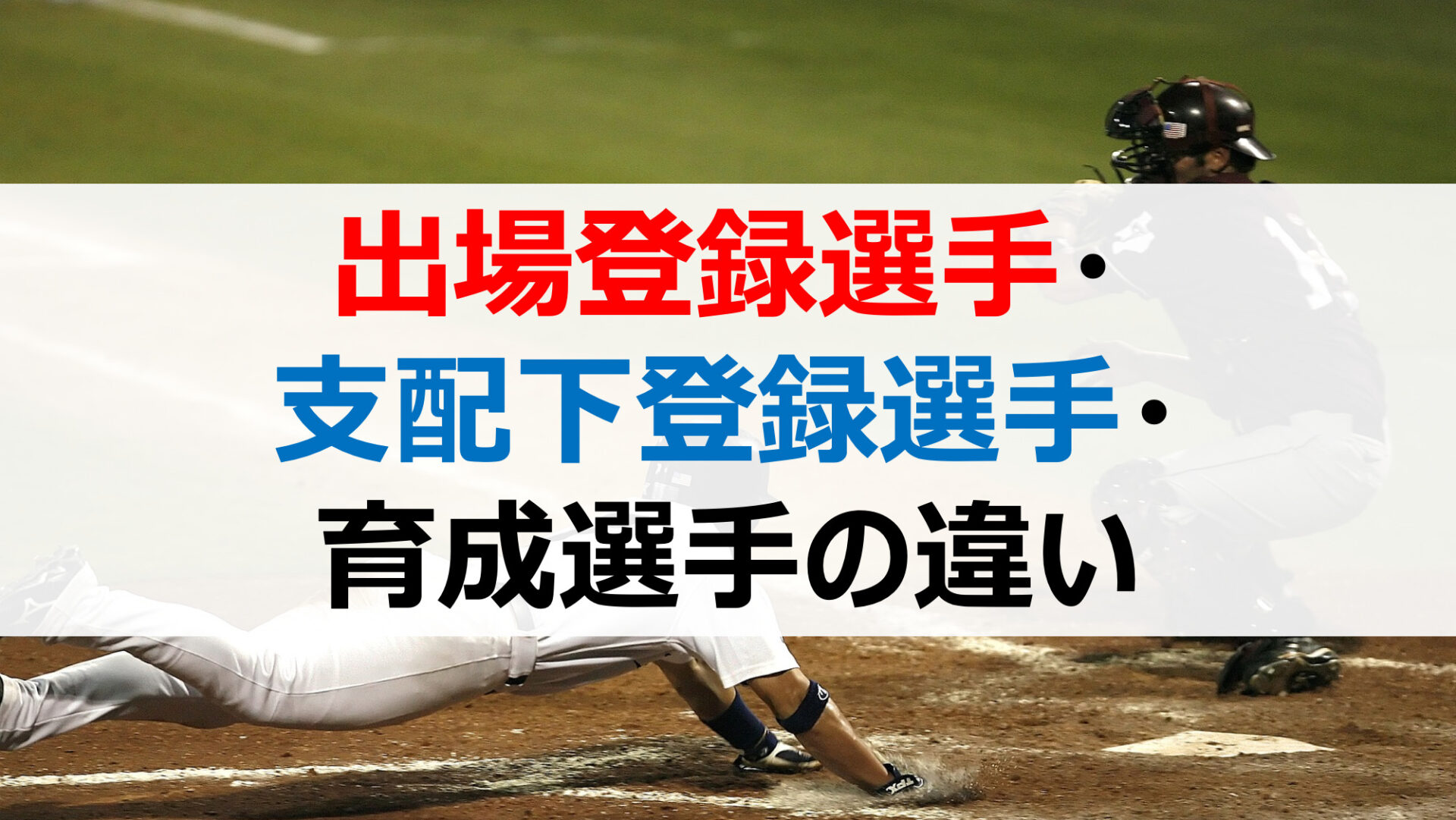 プロ野球 選手枠 出場登録選手 支配下登録選手 育成選手 の違いや人数を徹底解説 野球をもっと知るブログ